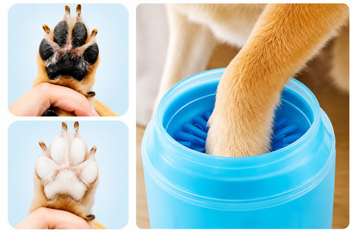 Pata de perro antes y después de usar el limpiador de patas para perros y gatos